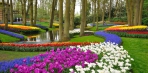 Lenyűgöző szépségű virágoskert