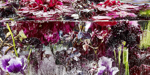 A megbocsátás legyen glamúros