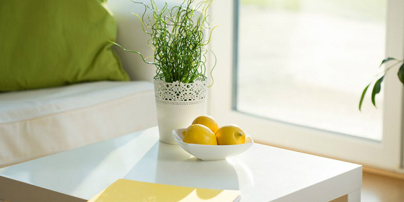 A rendrakás művészete 