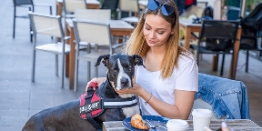 Julius-K9 – egy kutyabarát magyar sikertörténet